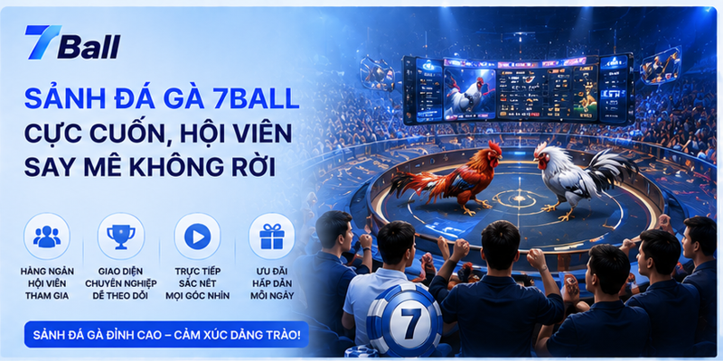 Sảnh đá gà 7Ball cực cuốn, hội viên say mê không rời