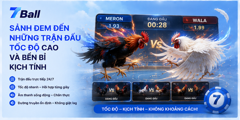 Sảnh đem đến những trận đấu tốc độ cao và bền bỉ kịch tính