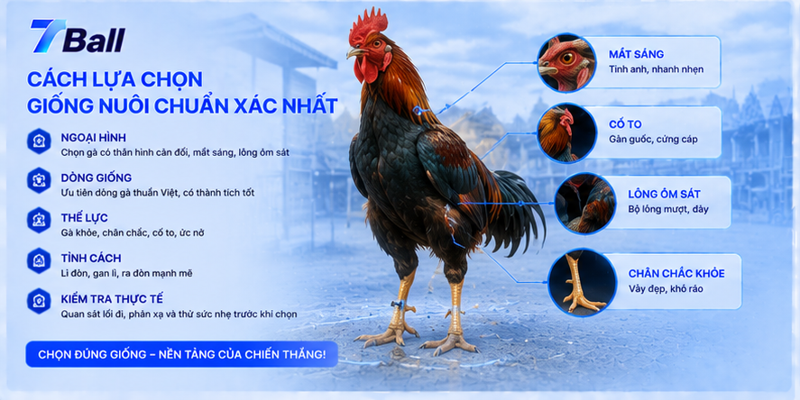 Cách lựa chọn giống nuôi chuẩn xác nhất