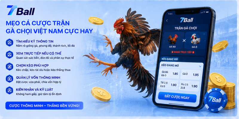 Mẹo cá cược trận gà chọi Việt Nam cực hay