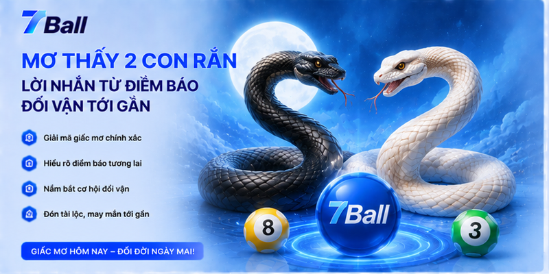 Mơ Thấy 2 Con Rắn - Lời Nhắn Từ Điềm Báo Đổi Vận Tới Gần