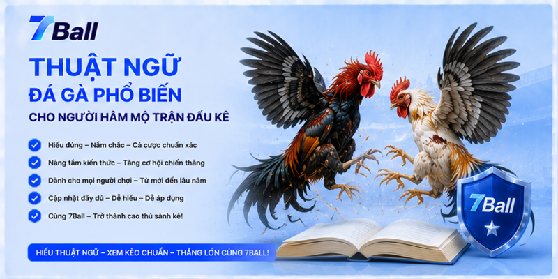 Thuật Ngữ Đá Gà Phổ Biến Cho Người Hâm Mộ Trận Đấu Kê 
