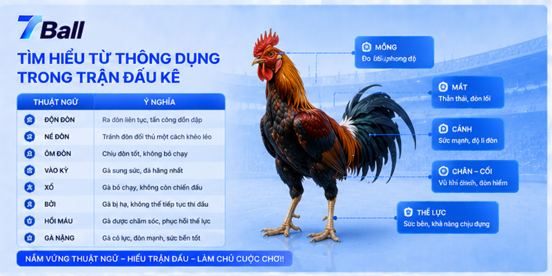 Tìm hiểu từ thông dụng trong trận đấu kê