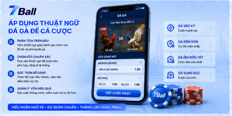 Áp dụng thuật ngữ đá gà để cá cược